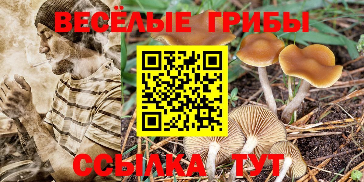 Пыть-Ях  Галлюциногенные грибы Psilocybe  Вход с VPN 